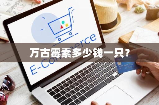 万古霉素多少钱一只？