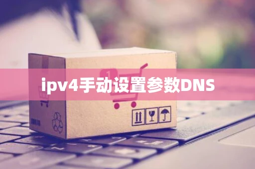 ipv4手动设置参数DNS