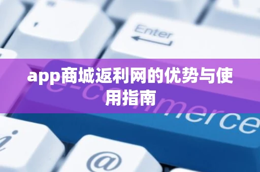 app商城返利网的优势与使用指南