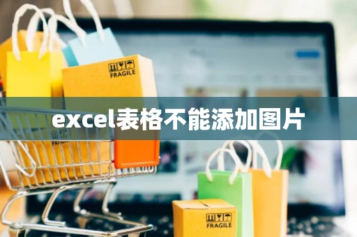 excel表格不能添加图片