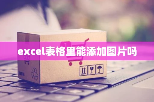 excel表格里能添加图片吗