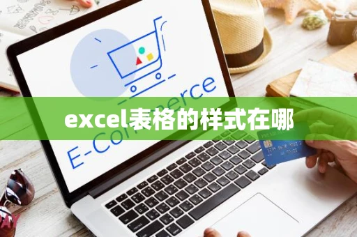 excel表格的样式在哪