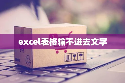 excel表格输不进去文字