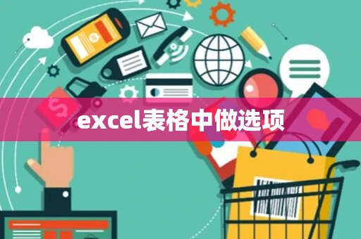 excel表格中做选项