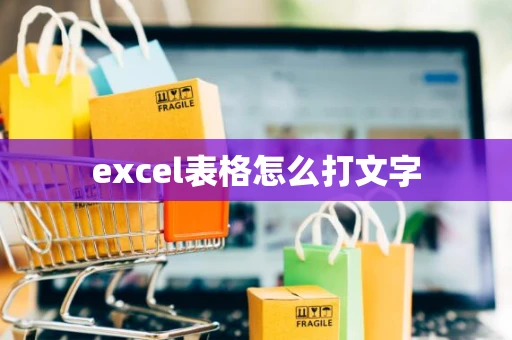 excel表格怎么打文字