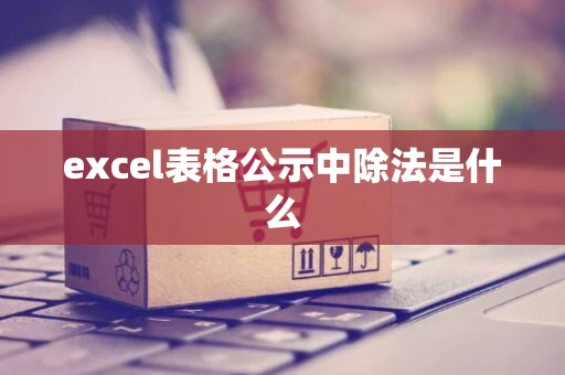 excel表格公示中除法是什么