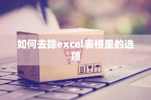 如何去除excel表格里的选项