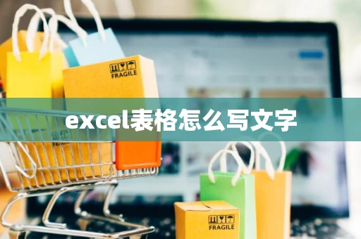 excel表格怎么写文字