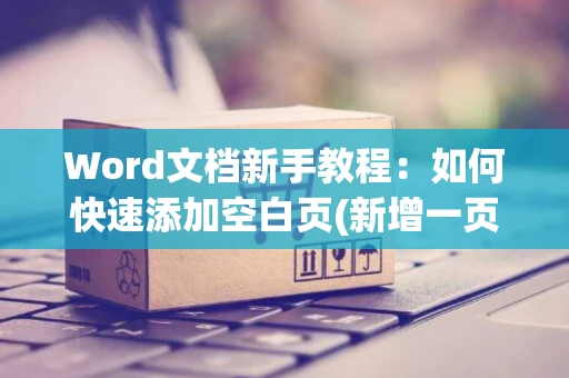 Word文档新手教程：如何快速添加空白页(新增一页轻松上手) 2024版