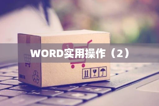 WORD实用操作（2）