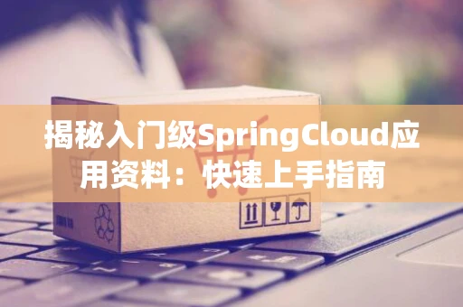 揭秘入门级SpringCloud应用资料：快速上手指南