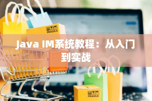 Java IM系统教程：从入门到实战