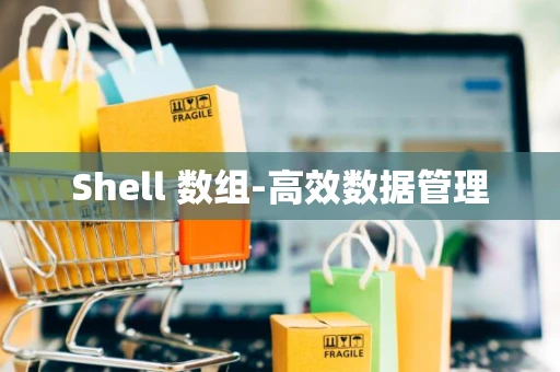 Shell 数组-高效数据管理