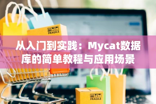 从入门到实践：Mycat数据库的简单教程与应用场景