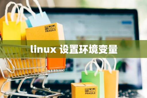 linux 设置环境变量