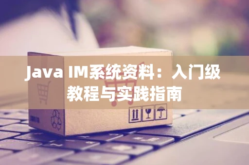 Java IM系统资料：入门级教程与实践指南