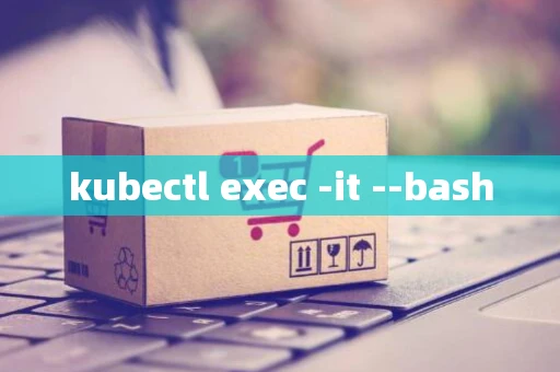 kubectl exec -it --bash