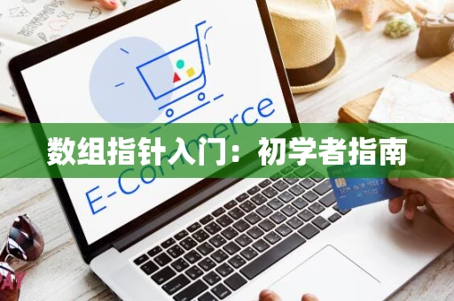 数组指针入门：初学者指南