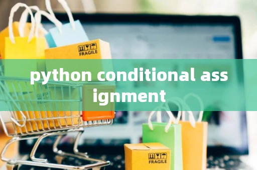 python conditional assignment