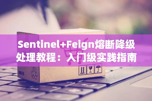 Sentinel+Feign熔断降级处理教程：入门级实践指南