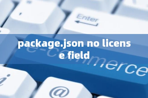 package.json no license field