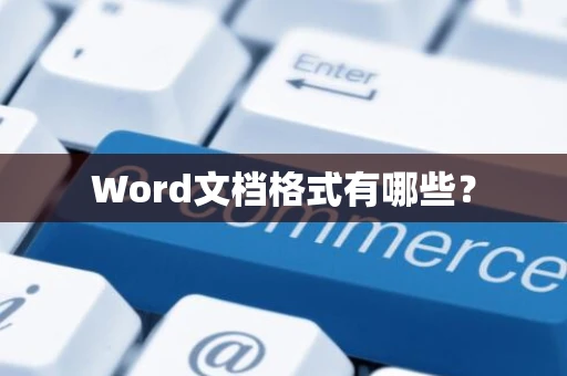 Word文档格式有哪些？