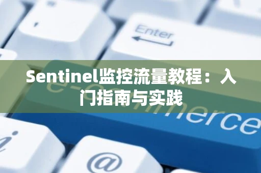 Sentinel监控流量教程：入门指南与实践