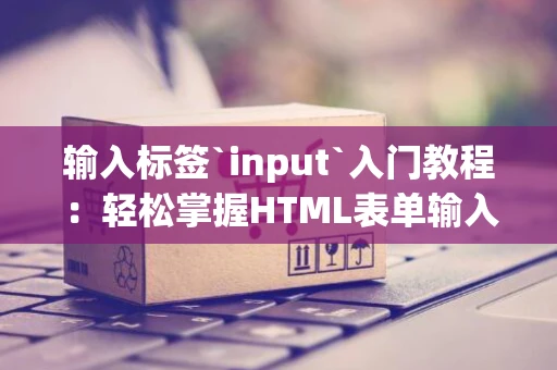 输入标签`input`入门教程：轻松掌握HTML表单输入技巧