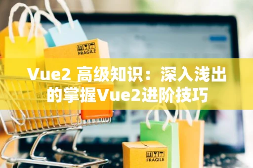 Vue2 高级知识：深入浅出的掌握Vue2进阶技巧