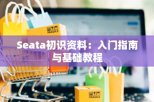 Seata初识资料：入门指南与基础教程