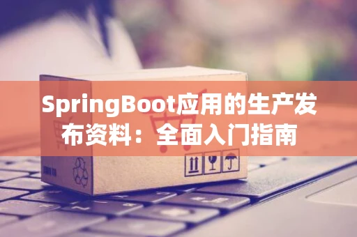 SpringBoot应用的生产发布资料：全面入门指南