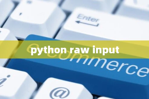 python raw input