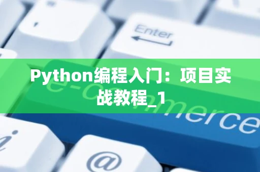 Python编程入门：项目实战教程_1