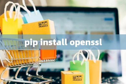 pip install openssl