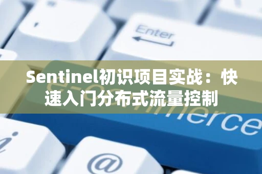 Sentinel初识项目实战：快速入门分布式流量控制