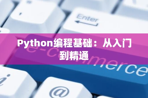 Python编程基础：从入门到精通