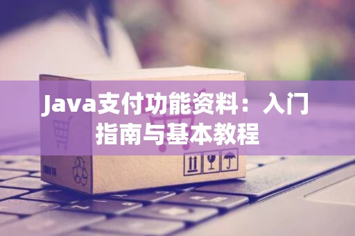 Java支付功能资料：入门指南与基本教程