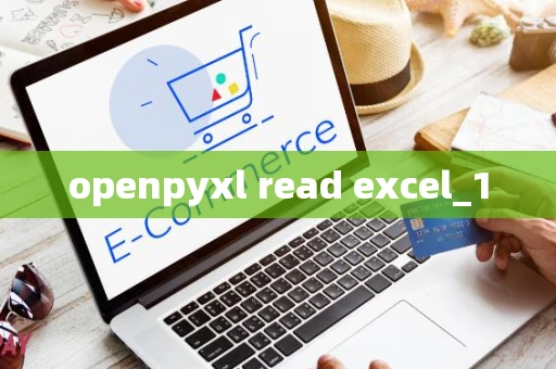 openpyxl read excel_1