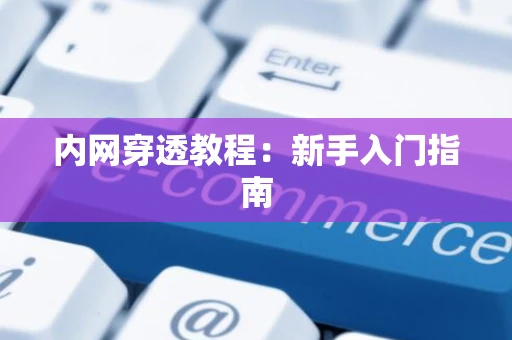 内网穿透教程：新手入门指南