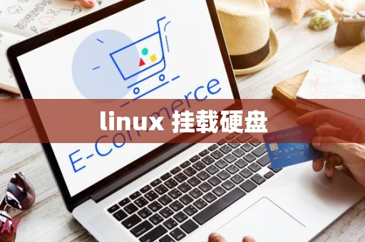 linux 挂载硬盘