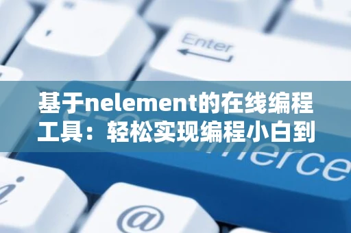 基于nelement的在线编程工具：轻松实现编程小白到高手的过程