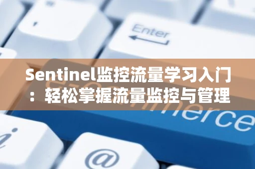 Sentinel监控流量学习入门：轻松掌握流量监控与管理