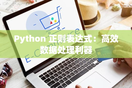 Python 正则表达式：高效数据处理利器