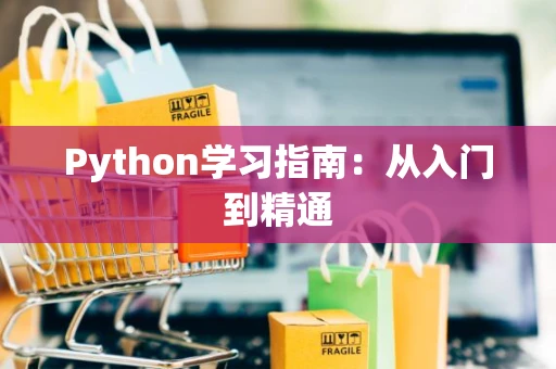 Python学习指南：从入门到精通