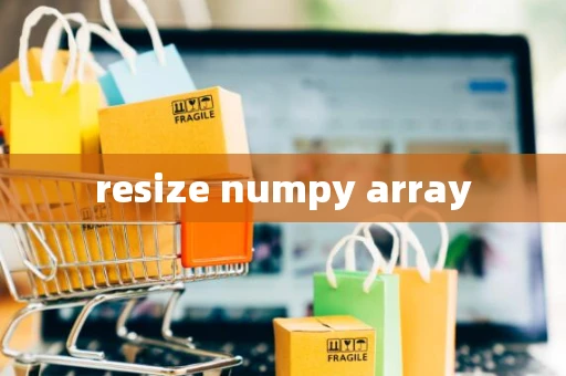 resize numpy array