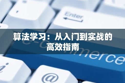 算法学习：从入门到实战的高效指南