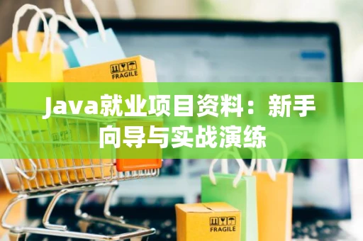 Java就业项目资料：新手向导与实战演练