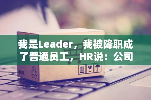 我是Leader，我被降职成了普通员工，HR说：公司要梯队年轻化