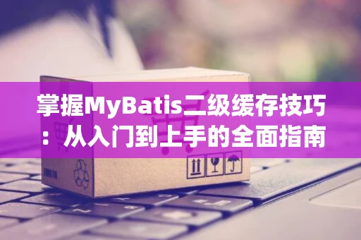 掌握MyBatis二级缓存技巧：从入门到上手的全面指南