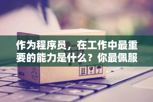 作为程序员，在工作中最重要的能力是什么？你最佩服的一种能力是什么？